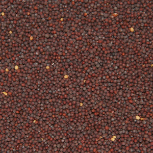 Real & Fresh Mustard Seeds 100g | Small Black Rai